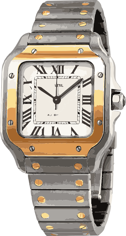 Swiss Watch In White Gold And Yellow Gold With Screws - Cartier Tank Solo (428x800), Png Download