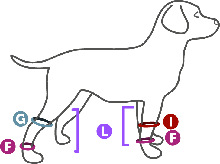 F - Elbow (728x543), Png Download