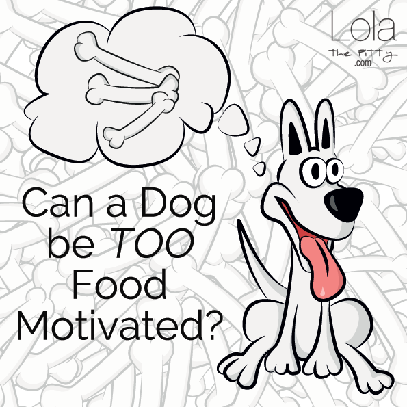 Can A Dog Be Too Food Motivated - Dog (595x595), Png Download