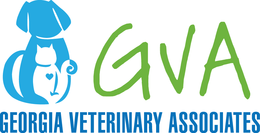 Home - Georgia Veterinary Associates (906x463), Png Download