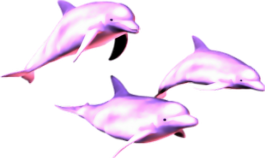 Mq Pink Dolphin Dolphins Animal - Dolphin Vaporwave (1024x1024), Png Download
