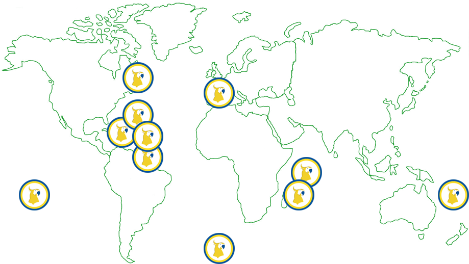 Jordane@cacatoesdobrasil - Com - Continent (941x550), Png Download