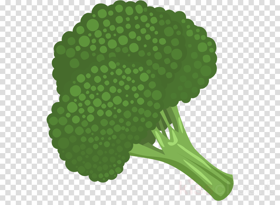Broccoli Icon Png Clipart Broccoli Slaw Clip Art - Clip Art Broccoli Clipart (900x660), Png Download
