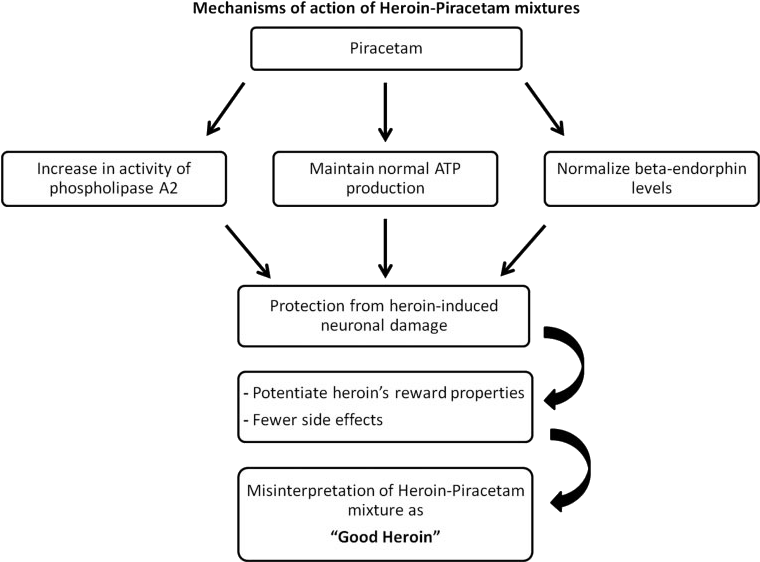 Unsurprisingly, Piracetam Mitigates Some Of The Negative - Piracetam Mechanism Of Action (765x568), Png Download