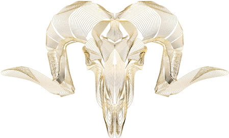 Click And Drag To Re-position The Image, If Desired - Argali (600x600), Png Download