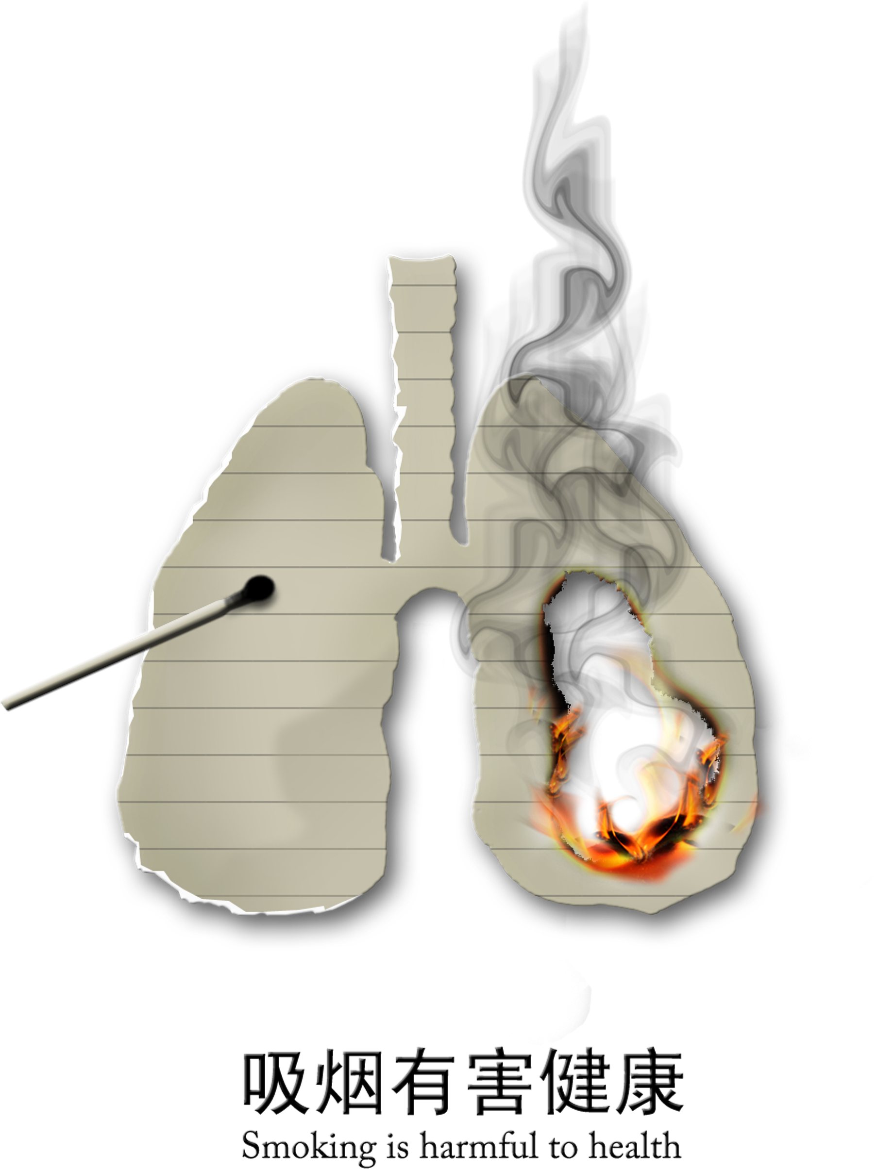 Smoking Is Harmful To The Health Of The Lungs Is Burned - Earrings (2627x2953), Png Download