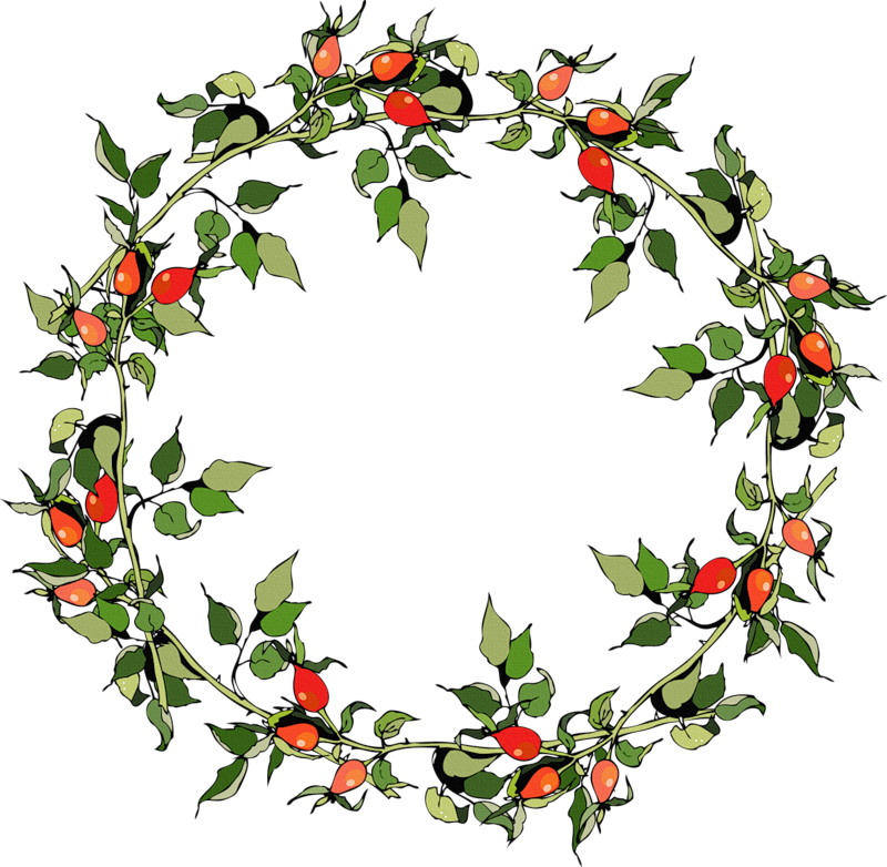 Rose Hips Christmas Frames - Vector Graphics (800x782), Png Download