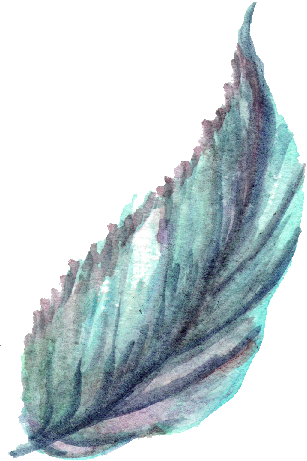 Flying Flame Leaves Transparent Decorative - Portable Network Graphics (1024x1536), Png Download