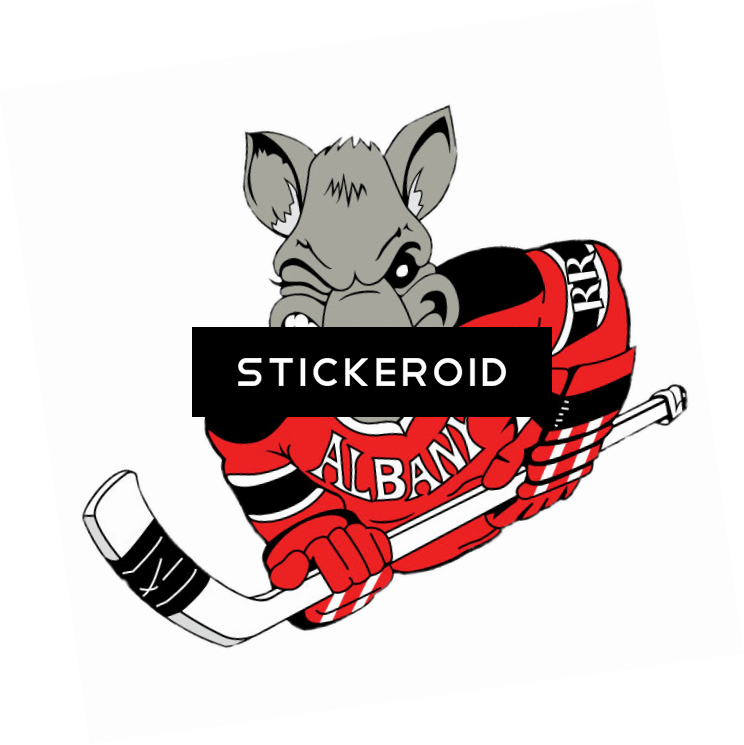 Albany River Rats Mascotte - Albany River Rats (744x745), Png Download