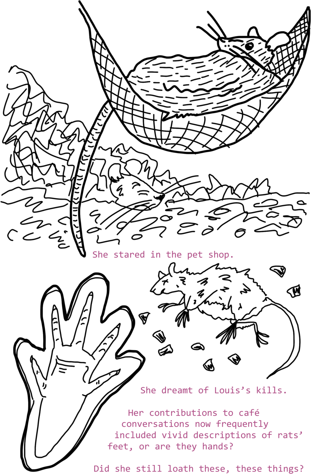 Download Rats5 - Full Size PNG Image - PNGkit