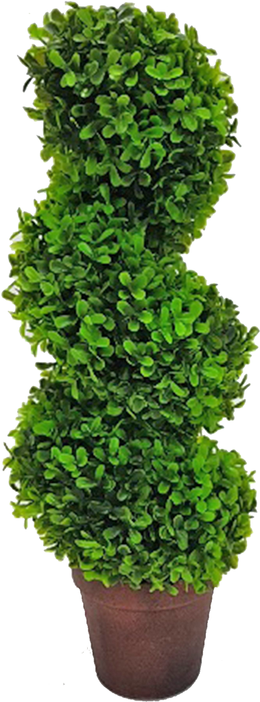 Topiary Tree Spiral - Tree (1080x1080), Png Download