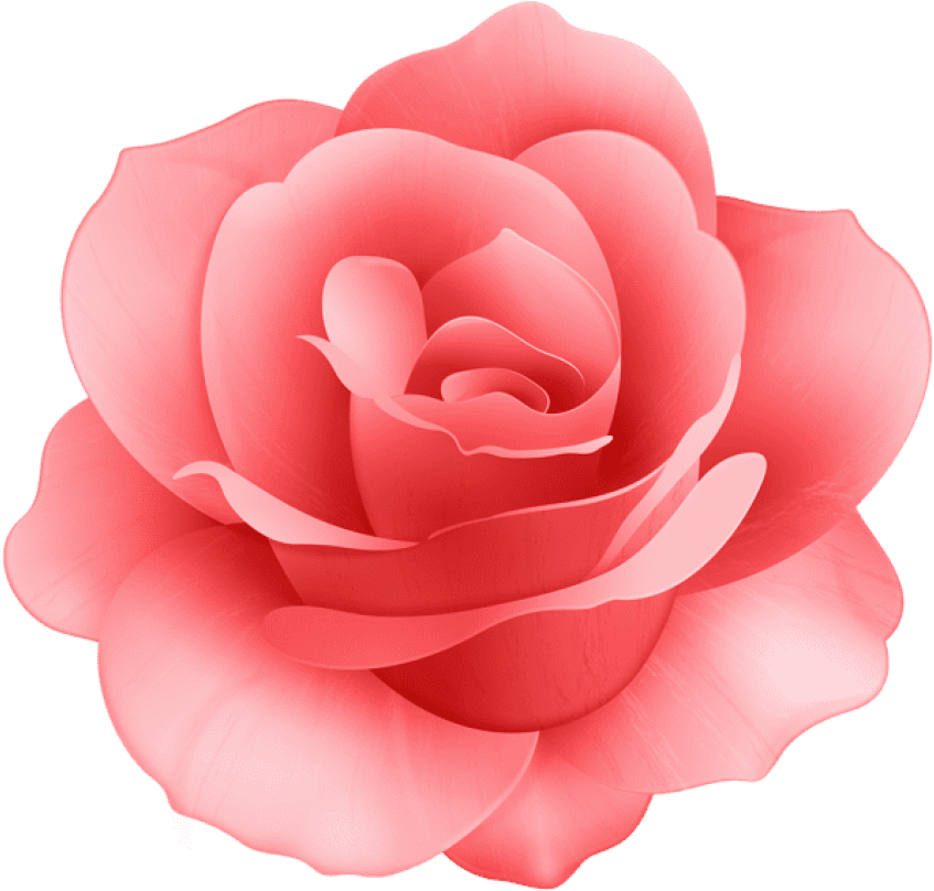 Free Png Red Rose Flower Png Images Transparent - Pink Rose Flower Clip Art (850x819), Png Download