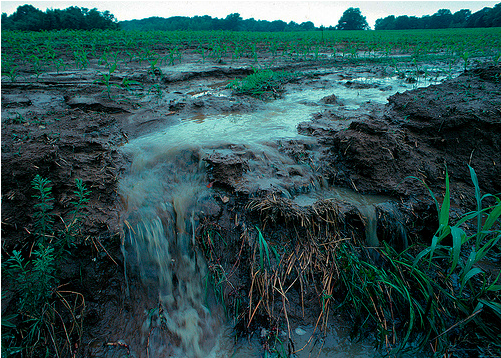 Slime Ss 11 W=830 - Persistent Organic Pollutants [book] (830x553), Png Download