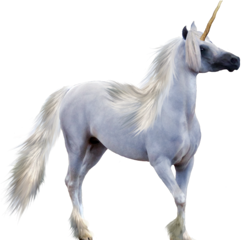 Unicorn Png Transparent Images - Safety Kitty Chain Mail (640x480), Png Download