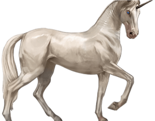 Original - Unicorn Png (640x480), Png Download