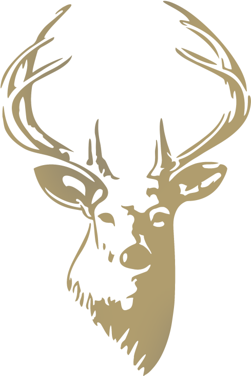 More From - Deer Head (640x822), Png Download