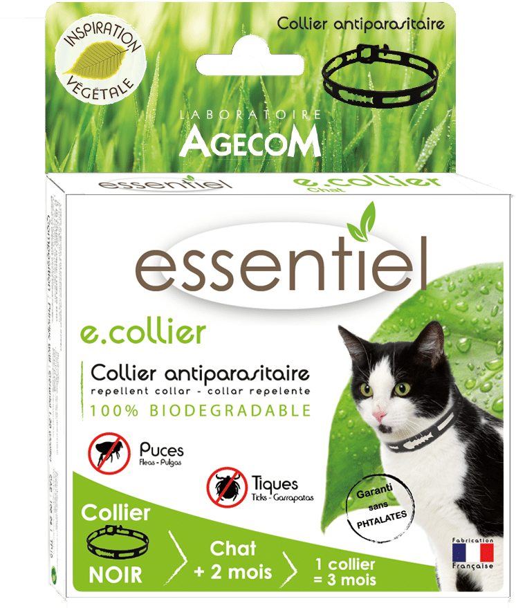 Collier Chat Noir - Collar (800x905), Png Download