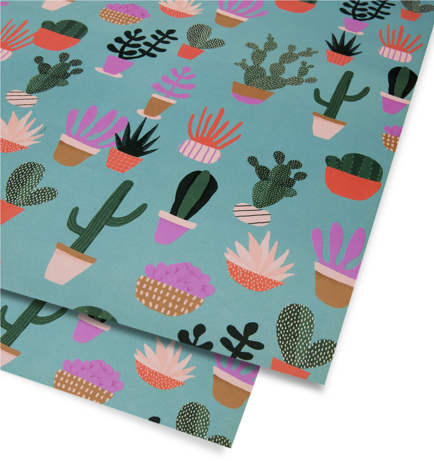 Cactus Gift Wrap - Papel O Cartulinas Con Dibujos De Cactus (1400x1500), Png Download