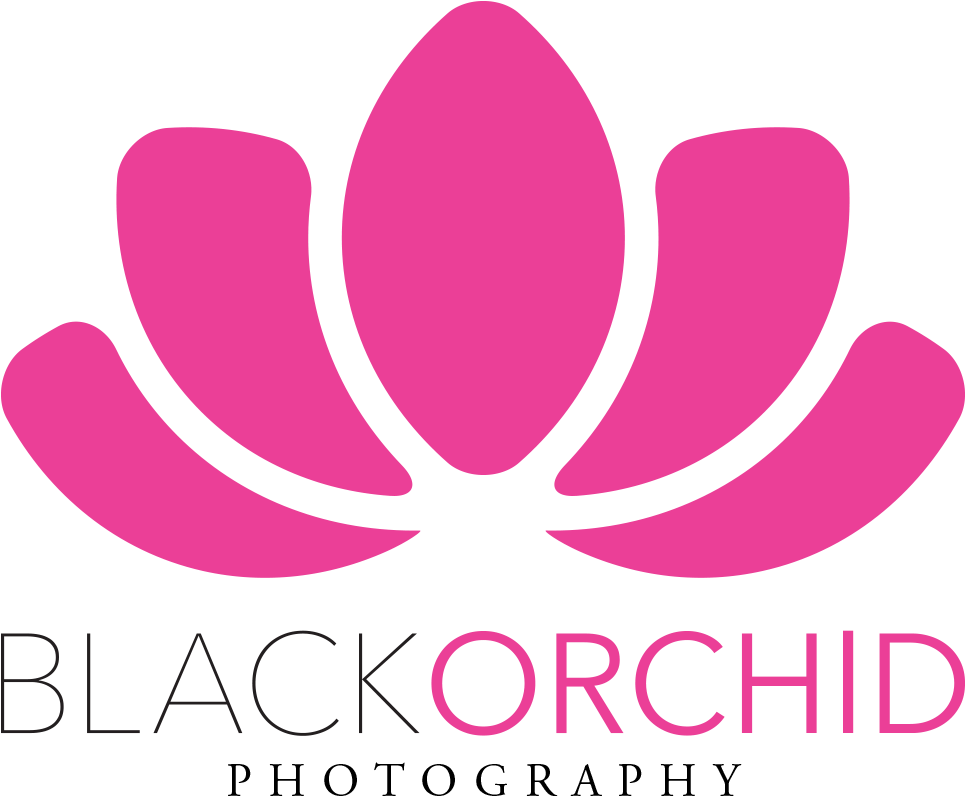 Orchid Png (1000x844), Png Download