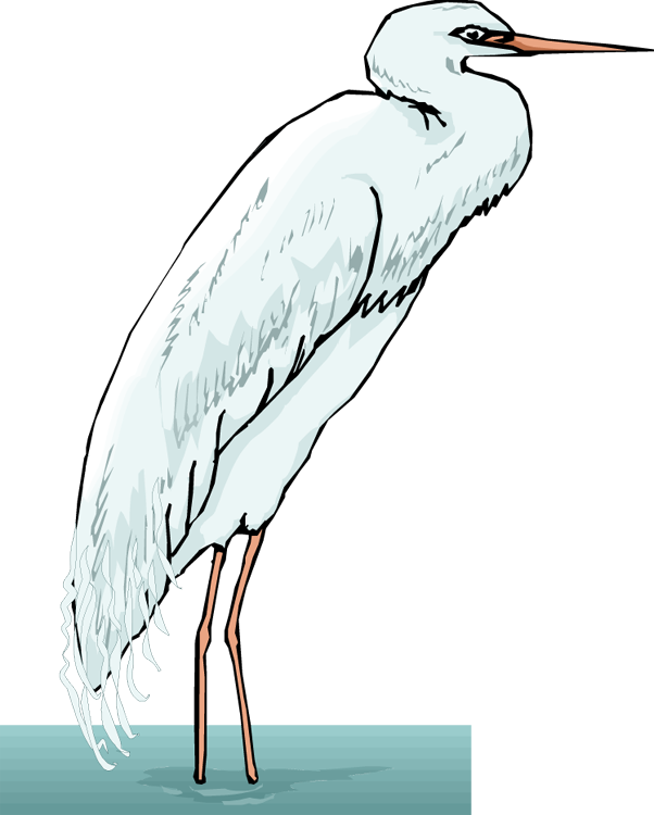 Png Transparent Library Free Heron - Portable Network Graphics (602x750), Png Download