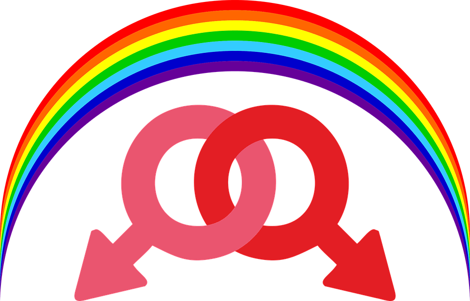 Dictionaries, Books, Synonyms, Glossaries, Vocabularies, - Homosexualidad Png (960x615), Png Download