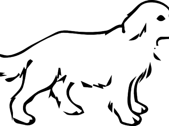 Baby Golden Coloring Pages (640x480), Png Download