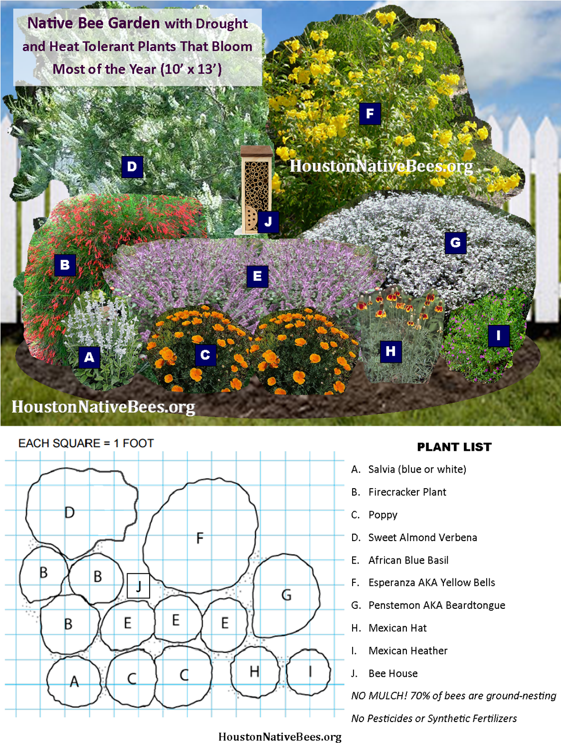 Easy Garden Design To Help Native Pollinators - Pollinator Garden Designs (1126x1502), Png Download