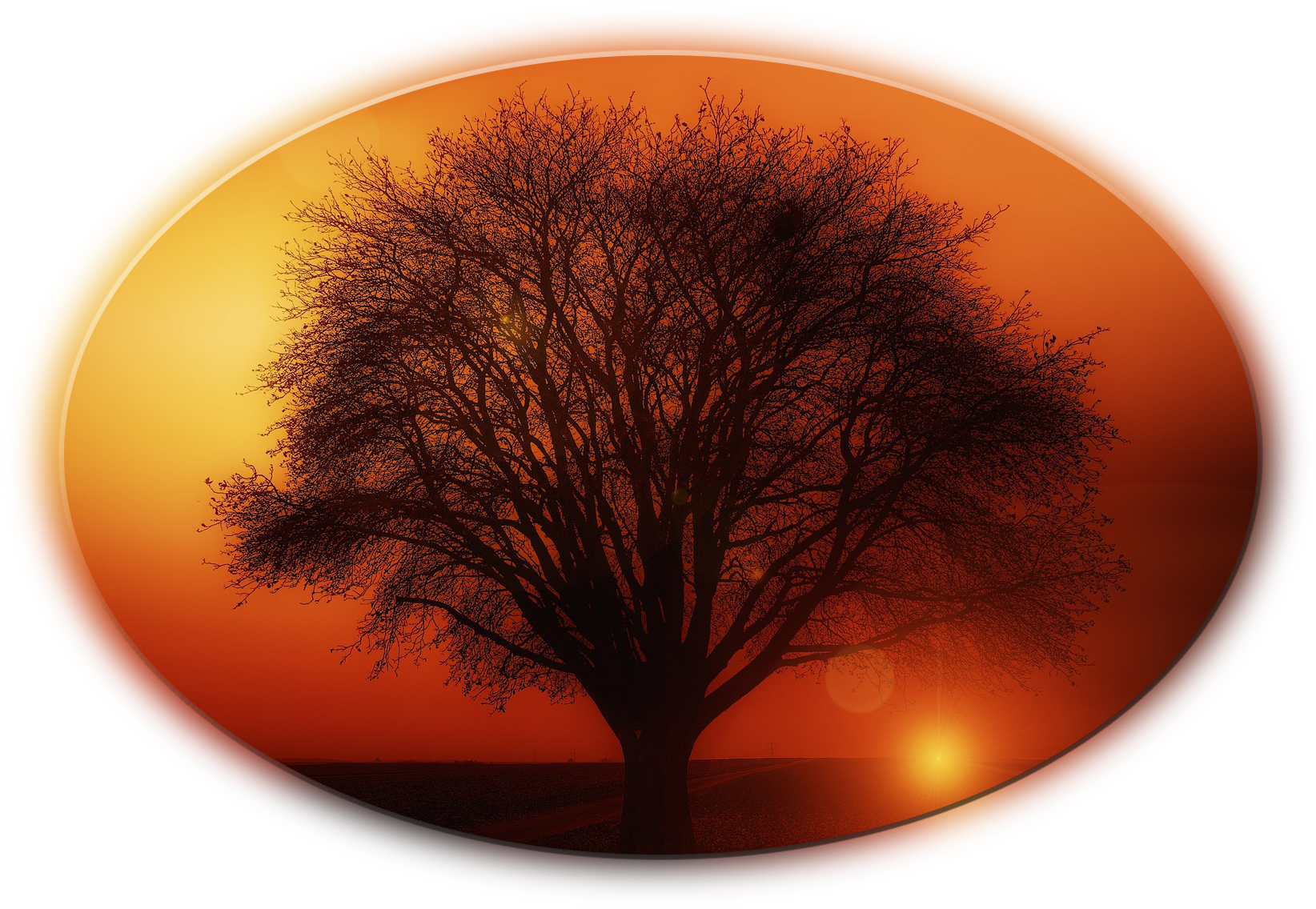 Big Trees - Living With Passion: An Inspirational Guide For Life (1800x1224), Png Download