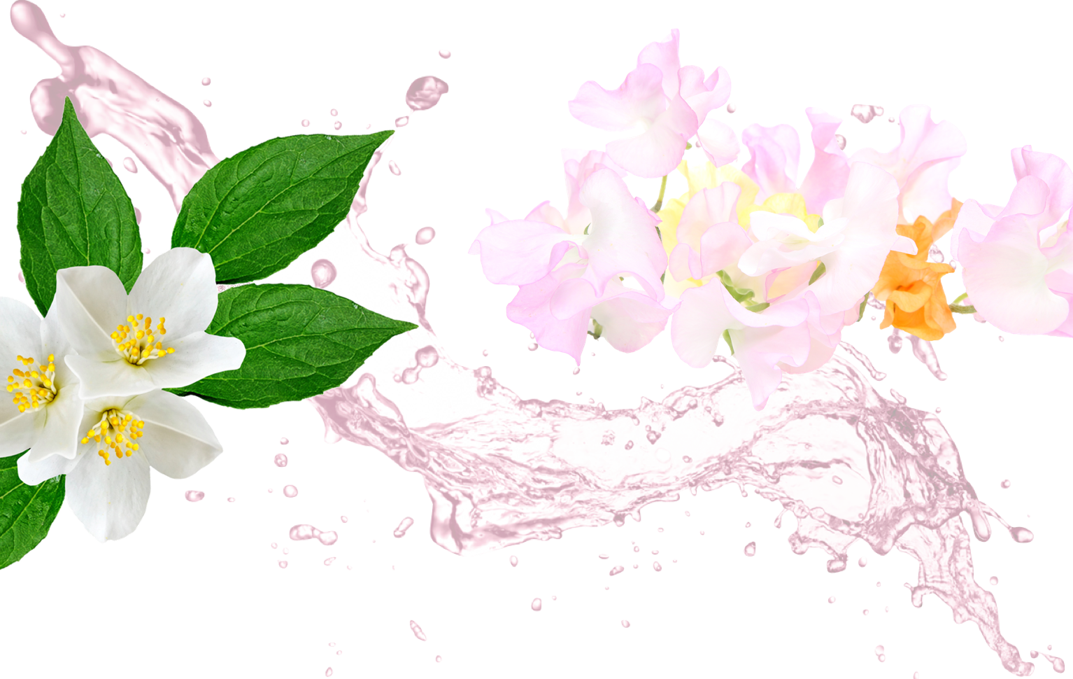 If You Like Sweet Pea, You'll Also Love - Blackhead Remover Mask + Blackheads Remover Tool Kit (1534x970), Png Download