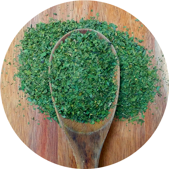 Parsley - Grass (702x702), Png Download