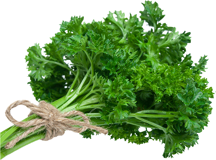Parsley - Dhone Pata In English (847x1000), Png Download