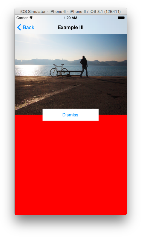 We Want To Have The View To Shrink In Size And Fall - Chelated Magnesium Supplements Bisglycinate Harvard (487x801), Png Download