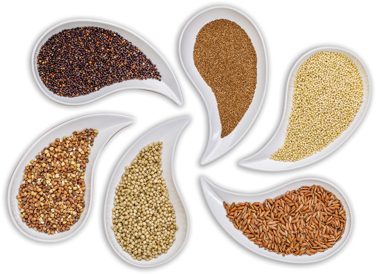 Carefully Selected And Controlled Ingredients - Gluten (800x600), Png Download