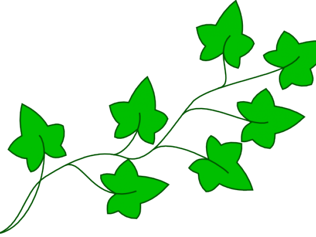 Vine Clipart Cartoon - Cartoon Poison Ivy Plant (640x480), Png Download