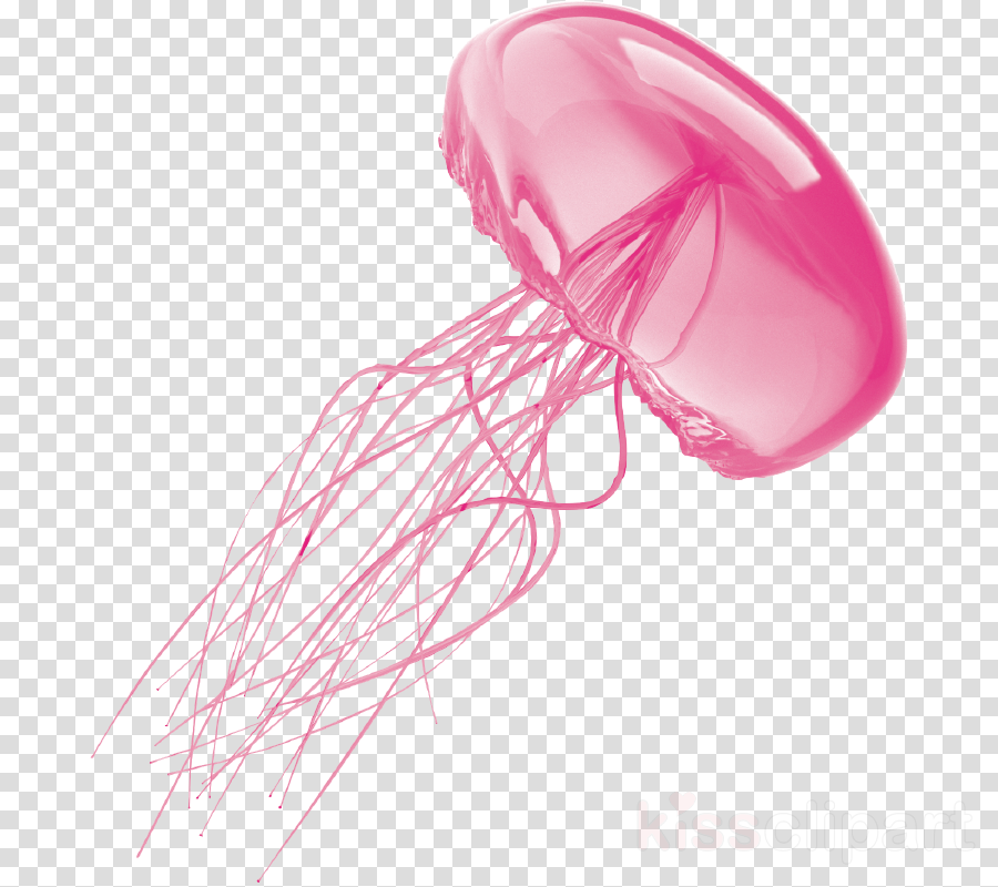Jellyfish With No Background Clipart Jellyfish Clip - Water Droplet Black And White (900x800), Png Download