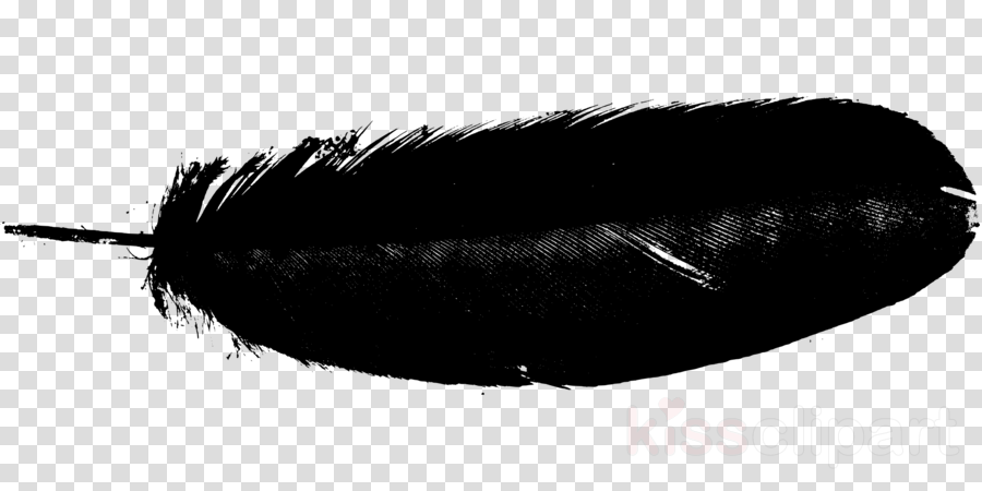 Brush Clipart Brush Eyebrow Black M - Paint Splash Black Png (900x450), Png Download