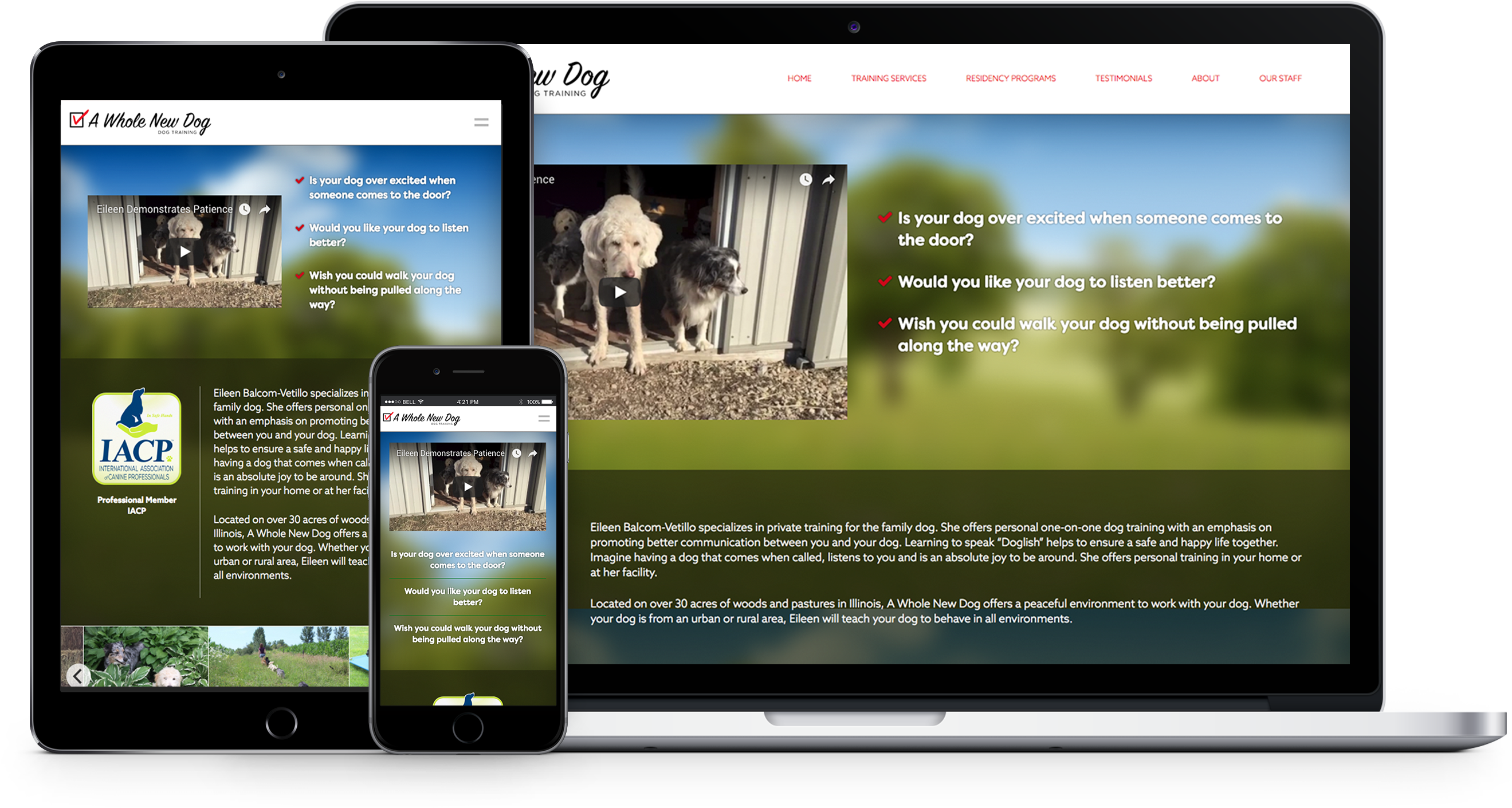 Web Design (2839x1827), Png Download