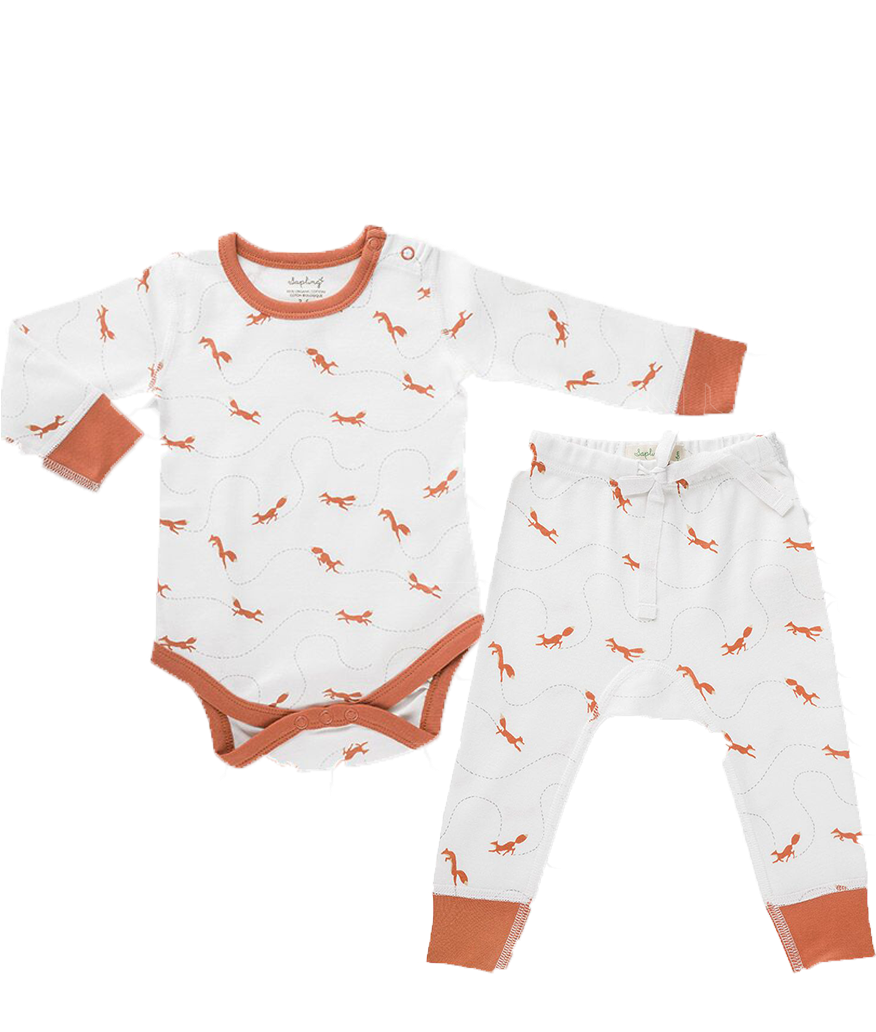 Sapling Organic Baby Set, Signore Fox - Bodysuit (875x1080), Png Download