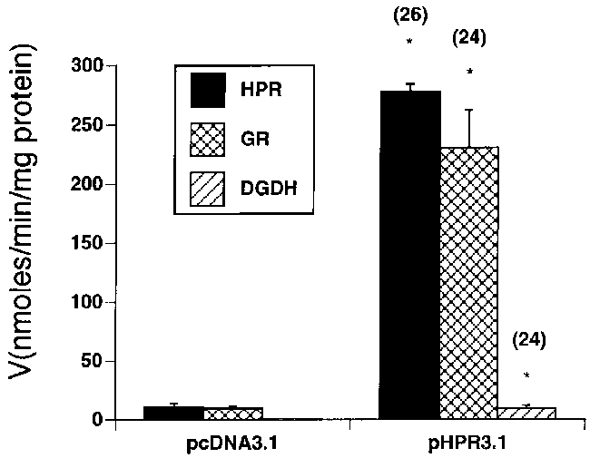 Cos 1 Cells Were Cotransfected With Luciferase Reporter - Diagram (748x529), Png Download
