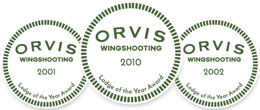 Orvis Wingshooting Awards - Georgia (900x393), Png Download