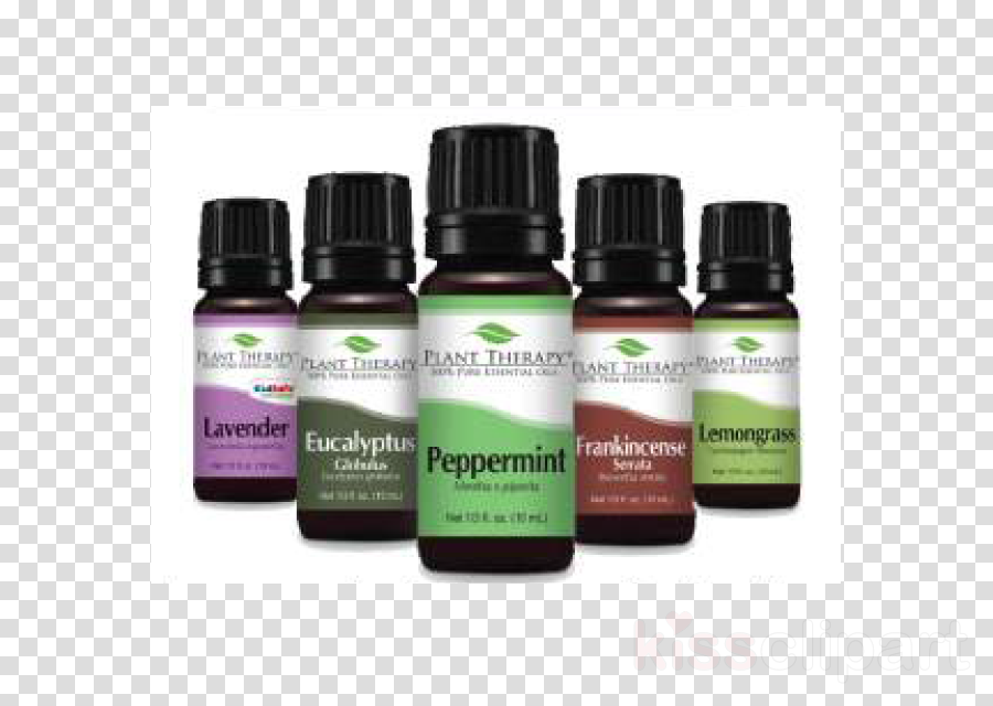 Cinnamon Cassia Organic Essential Oil - Plant Therapy Essential Oils Black Pepper Organic Essential (900x640), Png Download