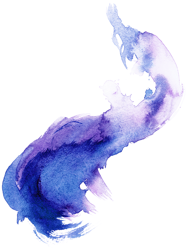 Axure Rp (600x800), Png Download