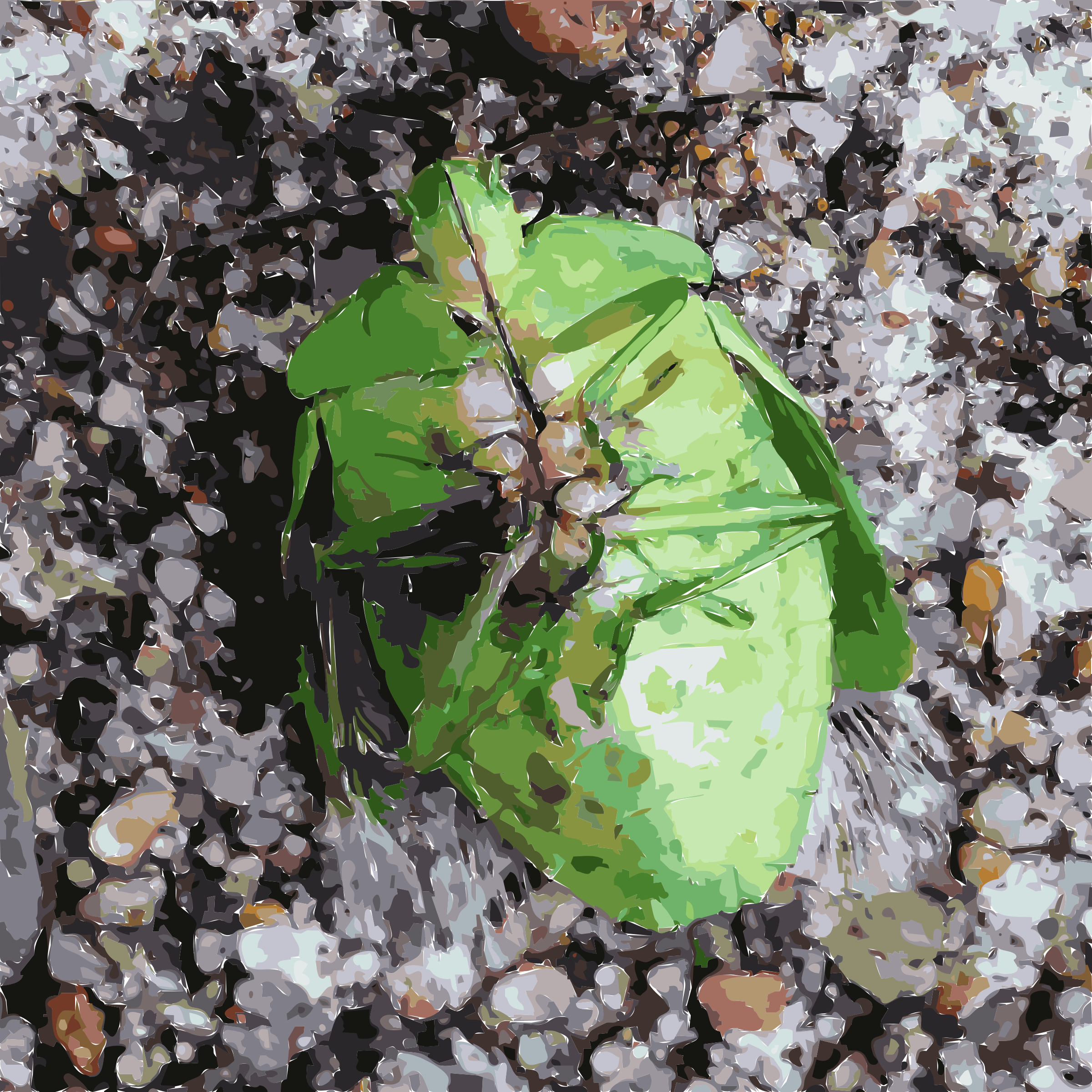 This Free Icons Png Design Of Green Belly Bug (2400x2400), Png Download