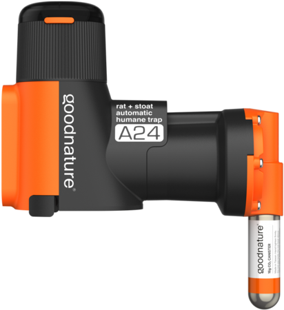 Learn More - ネズミ 捕り A24 (701x700), Png Download