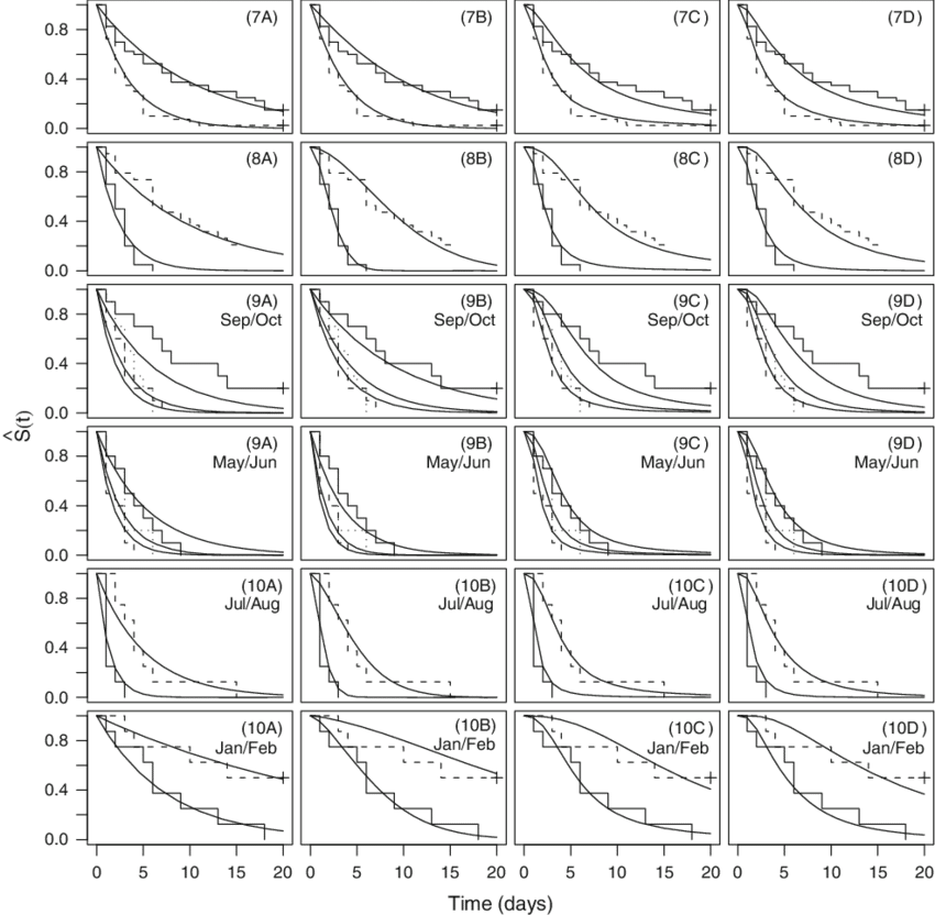 Empirical And Fitted Parametric Survivor Functions - Sketch (850x832), Png Download