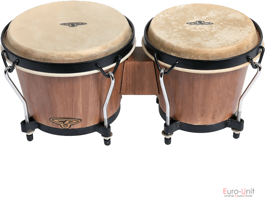 Product Sku - Oyster - Bongos Flt105 6/7" (900x900), Png Download