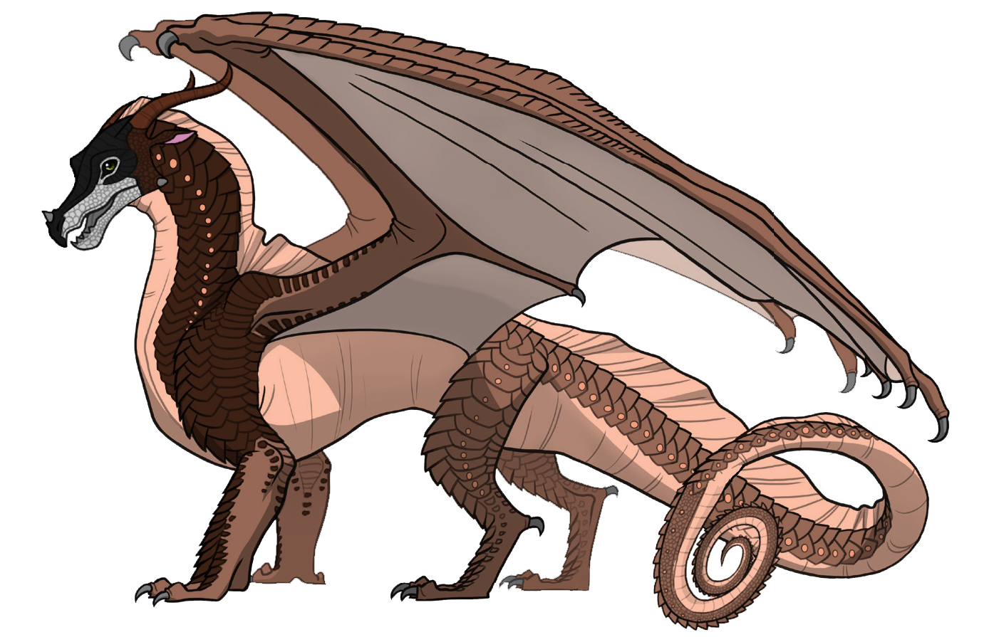 Bongo Ref - Sandwing Hybrid (1388x895), Png Download