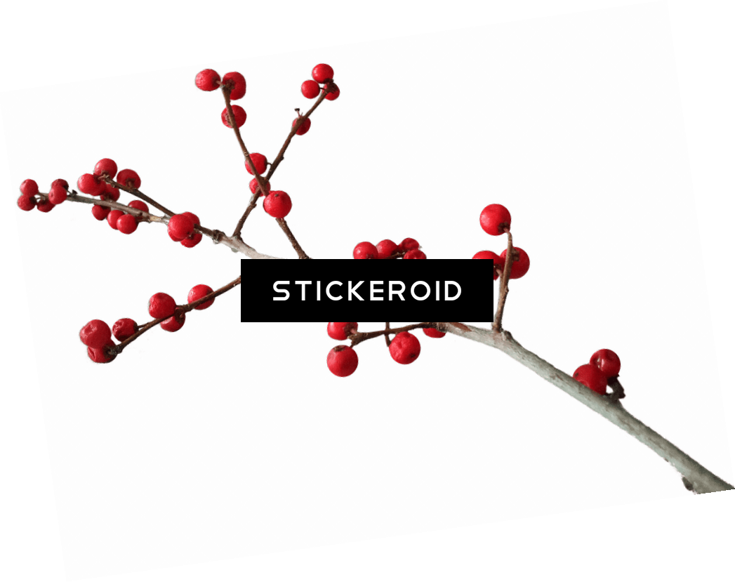 Christmas Branch Decoration - Christmas Day (1047x829), Png Download