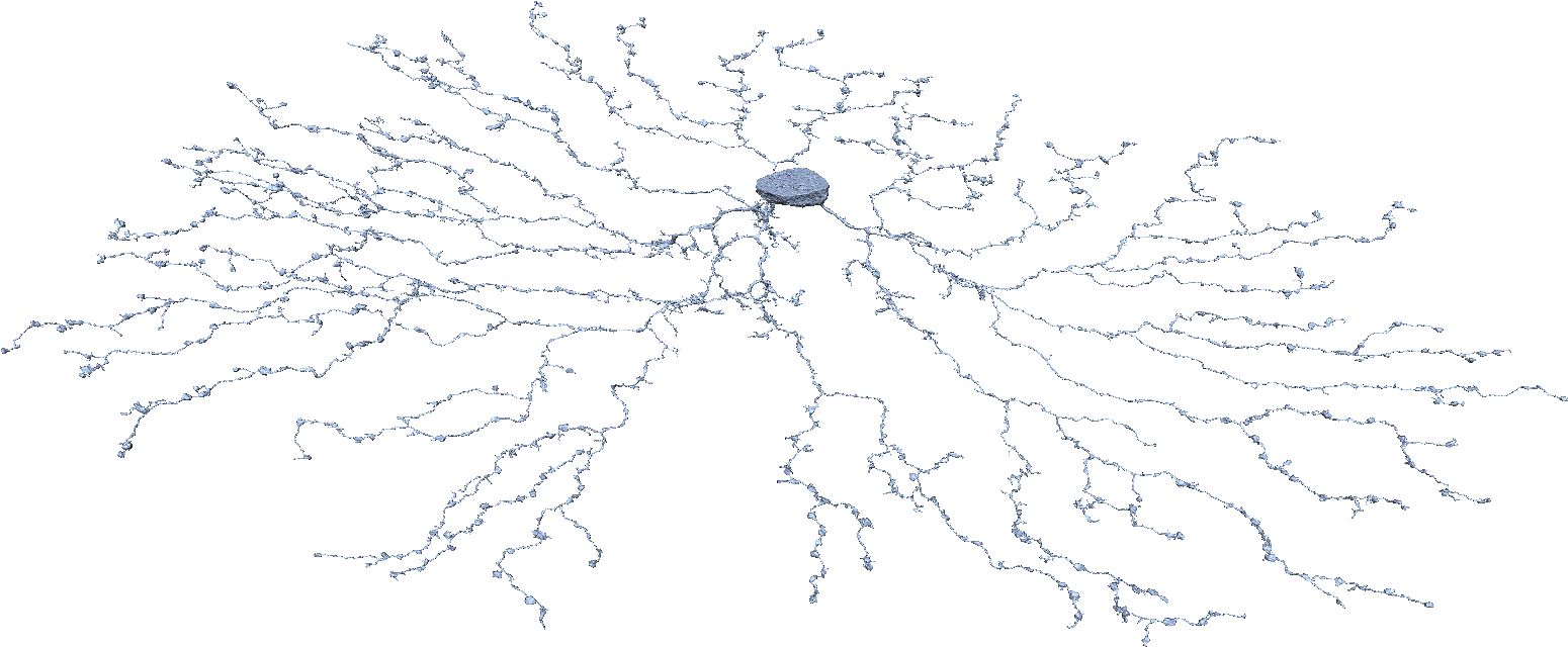 Circle (3840x1868), Png Download