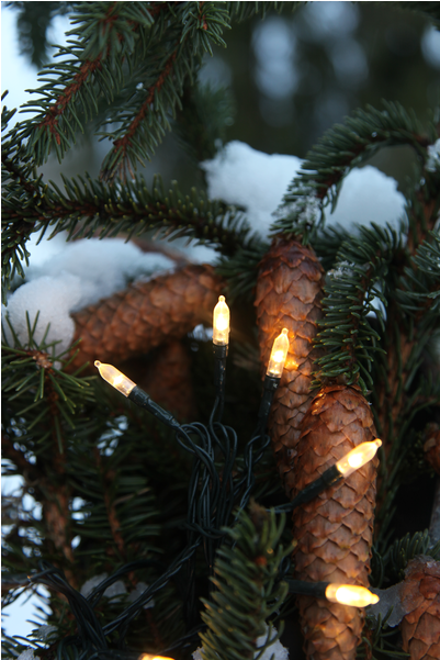 Light Chain P-led Outdoor - Silvertip Fir (600x600), Png Download